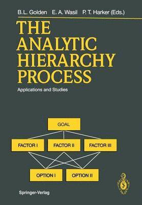 Bruce L. Golden, Edward A. Wasil, Patrick T. Harker - Analytic Hierarchy Process, Häftad