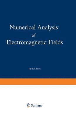 bokomslag Numerical Analysis of Electromagnetic Fields