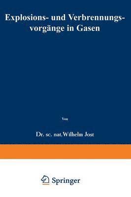 bokomslag Explosions- und Verbrennungsvorgnge in Gasen