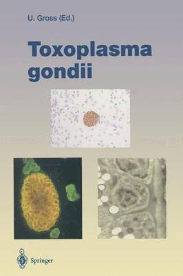 bokomslag Toxoplasma gondii