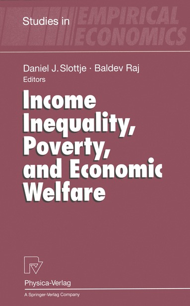 Daniel J. Slottje, Baldev Raj - Income Inequality, Poverty, and Economic Welfare, Häftad