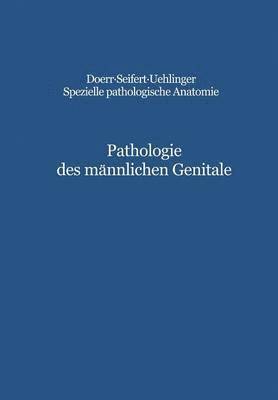 bokomslag Pathologie des mnnlichen Genitale