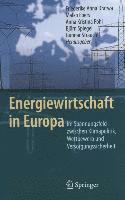 bokomslag Energiewirtschaft In Europa