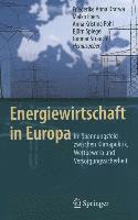 Energiewirtschaft in Europa 1