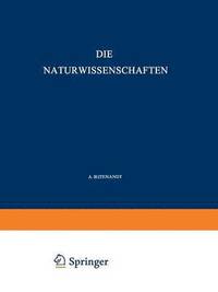 bokomslag Die Naturwissenschaften