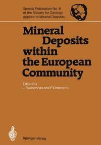 bokomslag Mineral Deposits within the European Community