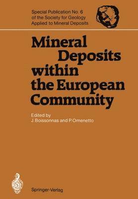 bokomslag Mineral Deposits within the European Community