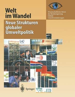 bokomslag Welt im Wandel: Neue Strukturen globaler Umweltpolitik