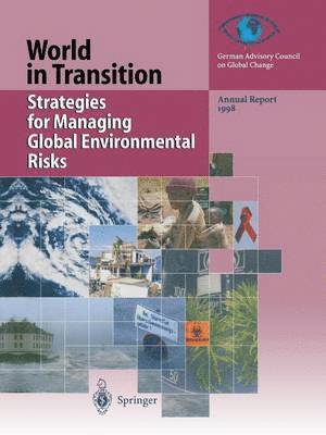 bokomslag Strategies for Managing Global Environmental Risks