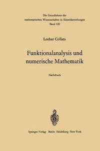 bokomslag Funktionalanalysis und numerische Mathematik