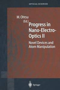 bokomslag Progress in Nano-Electro-Optics II