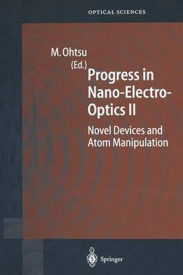 bokomslag Progress in Nano-Electro-Optics II