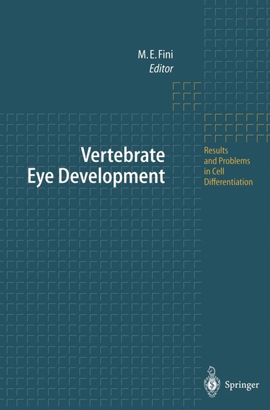 bokomslag Vertebrate Eye Development