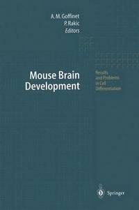bokomslag Mouse Brain Development
