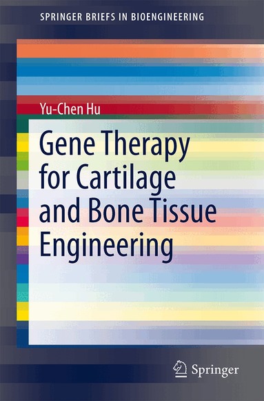 Yu-Chen Hu - Gene Therapy for Cartilage and Bone Tissue Engineering, Häftad
