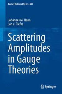 bokomslag Scattering Amplitudes in Gauge Theories