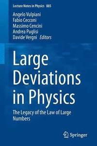 bokomslag Large Deviations in Physics