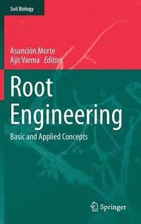 bokomslag Root Engineering