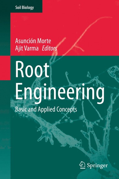 bokomslag Root Engineering