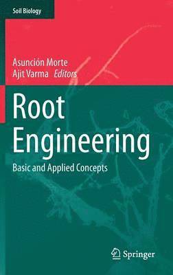 Root Engineering 1