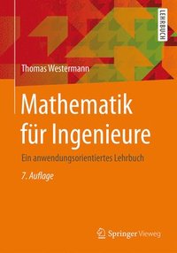 bokomslag Mathematik Für Ingenieure: Ein Anwendungsorientiertes Lehrbuch
