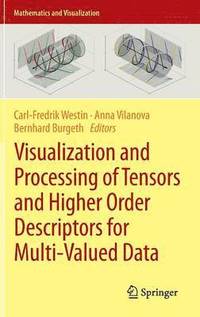 bokomslag Visualization and Processing of Tensors and Higher Order Descriptors for Multi-Valued Data