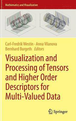 Visualization and Processing of Tensors and Higher Order Descriptors for Multi-Valued Data 1