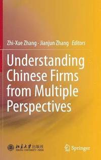 bokomslag Understanding Chinese Firms from Multiple Perspectives