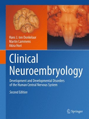 bokomslag Clinical Neuroembryology