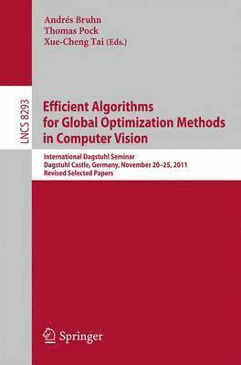 Andrés Bruhn, Thomas Pock, Xue-Cheng Tai, Thomas Bruhn, Andrés - Efficient Algorithms for Global Optimization Methods in Computer Vision, Häftad
