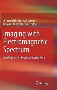 bokomslag Imaging with Electromagnetic Spectrum