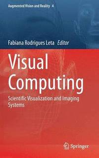 bokomslag Visual Computing