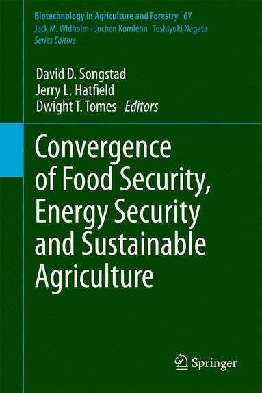 bokomslag Convergence of Food Security, Energy Security and Sustainable Agriculture