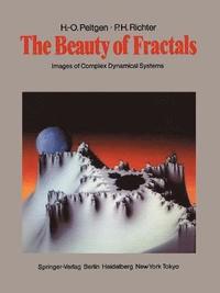 bokomslag The Beauty of Fractals