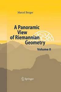bokomslag A Panoramic View of Riemannian Geometry