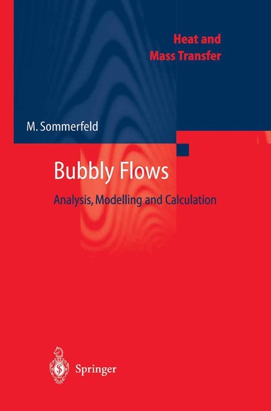 Martin Sommerfeld - Bubbly Flows, Häftad