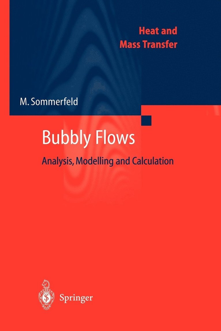 Martin Sommerfeld - Bubbly Flows, Häftad