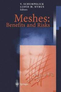 bokomslag Meshes: Benefits and Risks