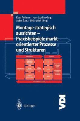 bokomslag Montage strategisch ausrichten  Praxisbeispiele marktorientierter Prozesse und Strukturen