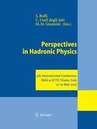 bokomslag Perspectives in Hadronic Physics