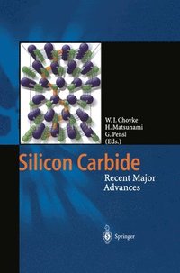 bokomslag Silicon Carbide