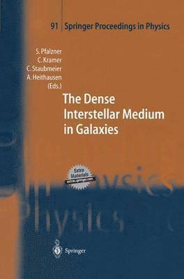 Susanne Pfalzner, Carsten Kramer, Christian Straubmeier, Andreas Heithausen - Dense Interstellar Medium in Galaxies, Häftad