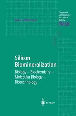 bokomslag Silicon Biomineralization