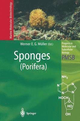 bokomslag Sponges (Porifera)