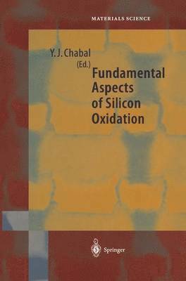 Fundamental Aspects of Silicon Oxidation 1