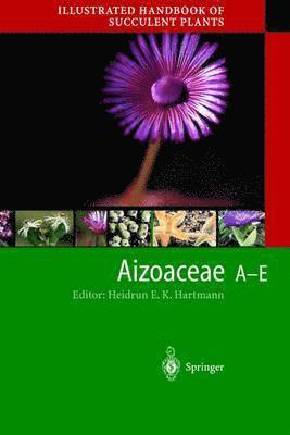 bokomslag Illustrated Handbook of Succulent Plants: Aizoaceae A-E