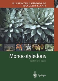 bokomslag Illustrated Handbook of Succulent Plants: Monocotyledons