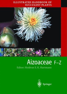 bokomslag Illustrated Handbook of Succulent Plants: Aizoaceae F-Z