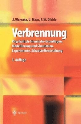 Verbrennung 1