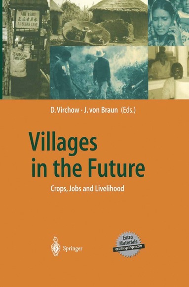 bokomslag Villages in the Future